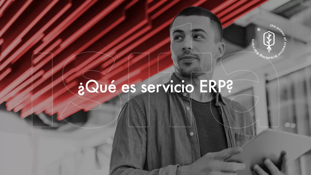 ¿Qué-es-el-servicio-ERP?-ISITA